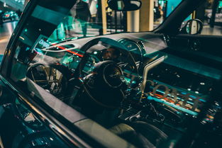 星空电竞-世界高速滑轮挑战赛中国少年展现实力，世界滑轮比赛视频